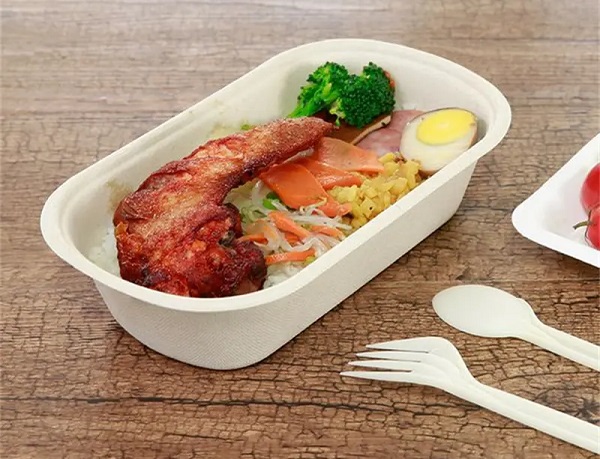 Compostable bowls and cutlery made from sugarcane bagasse.