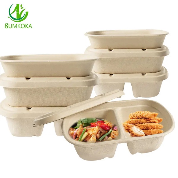 bagasse bento boxes.jpg
