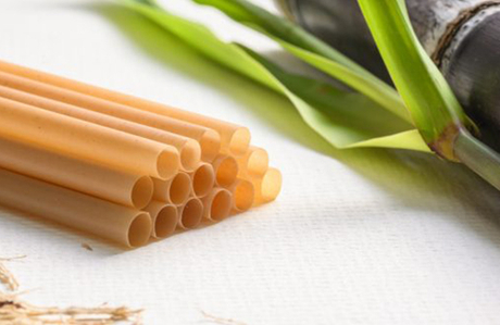 Are-Sugarcane-Straws-Edible.jpg