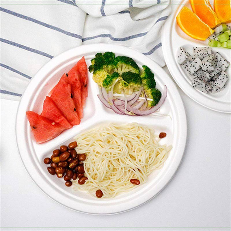 Eco-Friendly Party Supplies 8 Inch 3 Compartments Lunch Biodegradable  Disposable Food Container - China Pulp Tableware and Paper Goods price