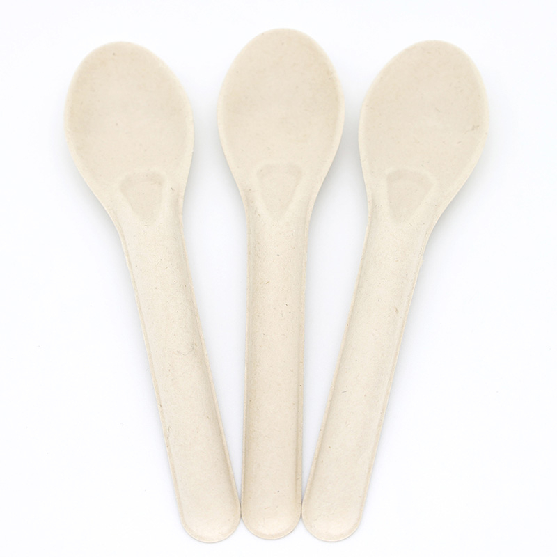 5.5" Compostable Sugarcane Fiber Spoon for Ice Cream