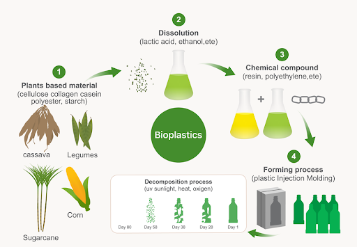 Life cycle of bioplastics