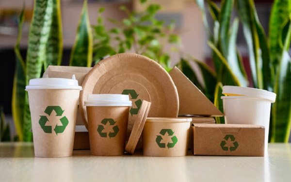 Sustainable disposable takeaway packaging