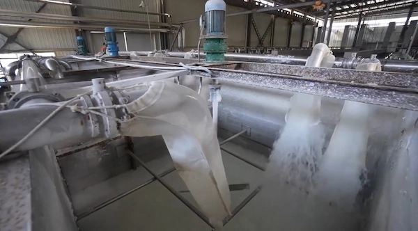 Sugarcane bagasse pulp from the factory.webp