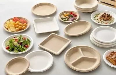 bagasse plates wholesale.webp