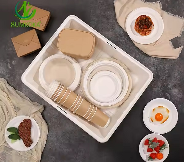 bagasse tableware wholesale.jpg