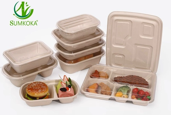 Disposable Food Packaging in bulk.webp