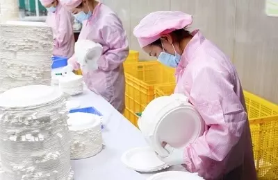 Custom Bagasse Plates.webp