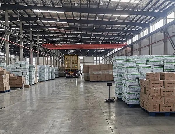 Disposable clamshell containers awaiting shipment.jpg
