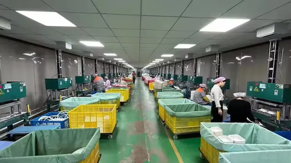 Sumkoka Sugarcane Bagasse Tableware Factory.webp