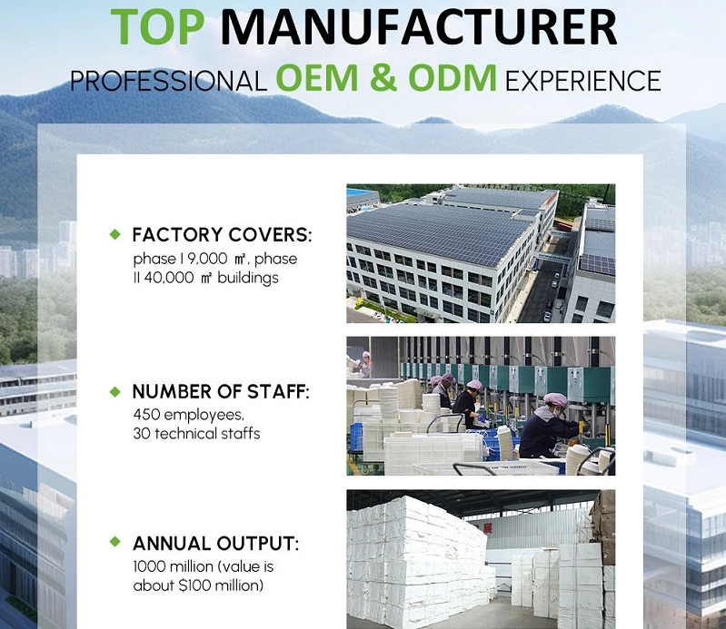 Sumkoka’s Manufacturing Capabilities as a Manufacturer of Sugarcane Bagasse Trays.webp