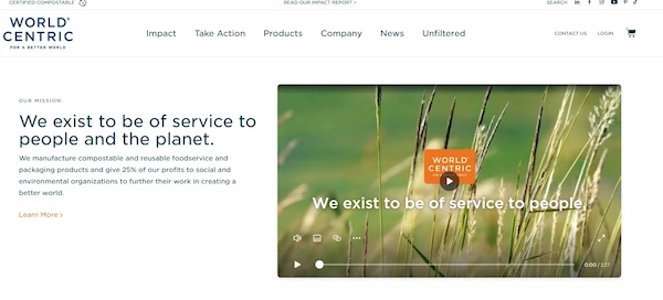 World Centric.webp