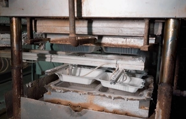 Molds for Disposable Sugarcane Bagasse Containers in Production.webp