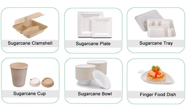 Sumkoka Sugarcane Bagasse Food Container Series.webp