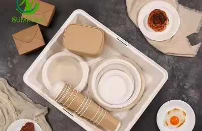 bagasse food container wholesale.webp